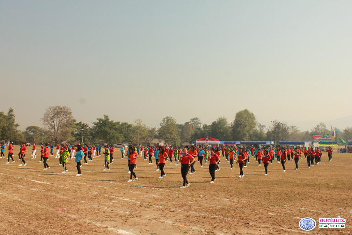 IMG_8884.jpg