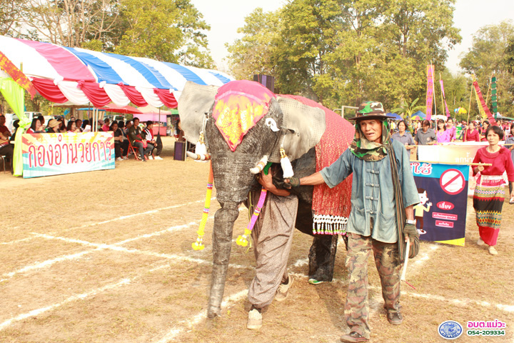 Work-mw-234-IMG_7589.jpg