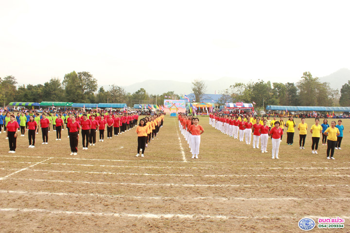 Work-mw-234-IMG_7743.jpg